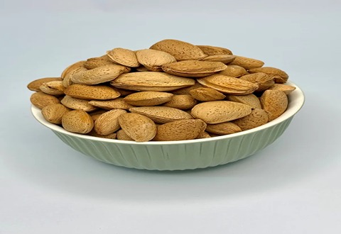تصویر 1 از قیمت بادام سنگی عمده + خرید باور نکردنی